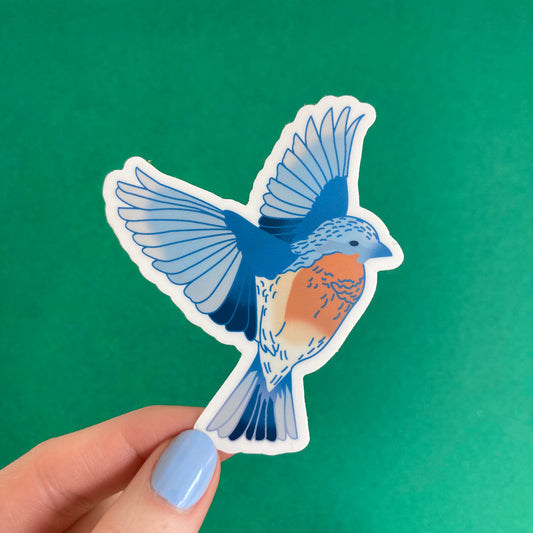 Eastern Bluebird Sticker