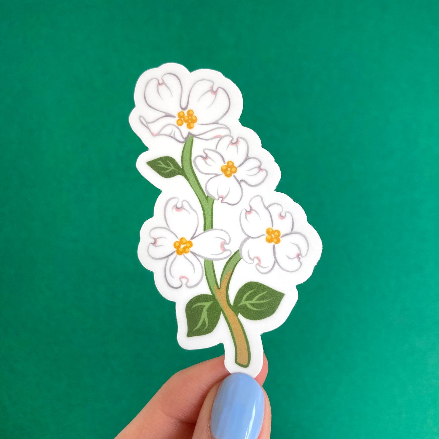 Dogwood Sticker