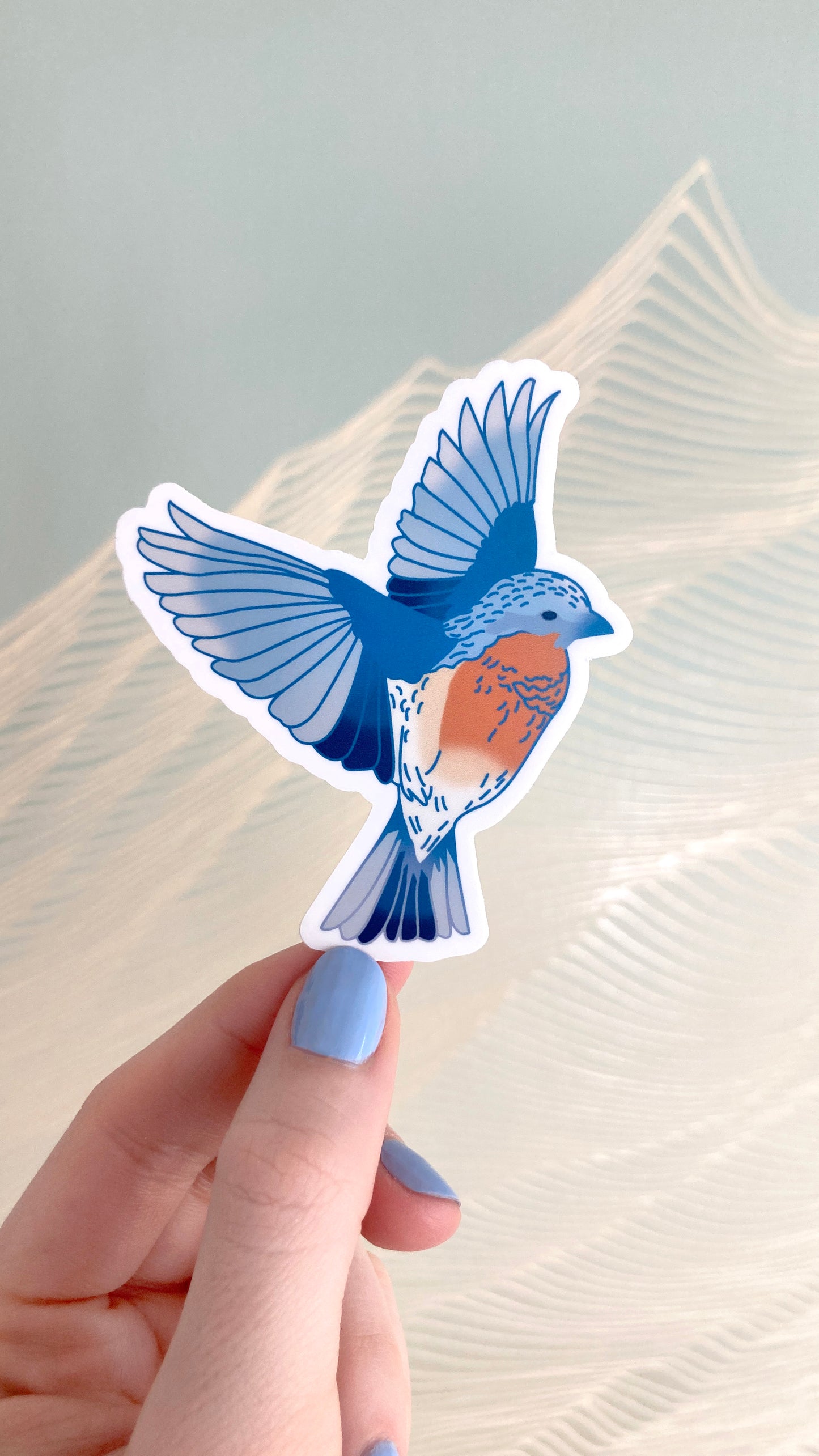 Eastern Bluebird Sticker